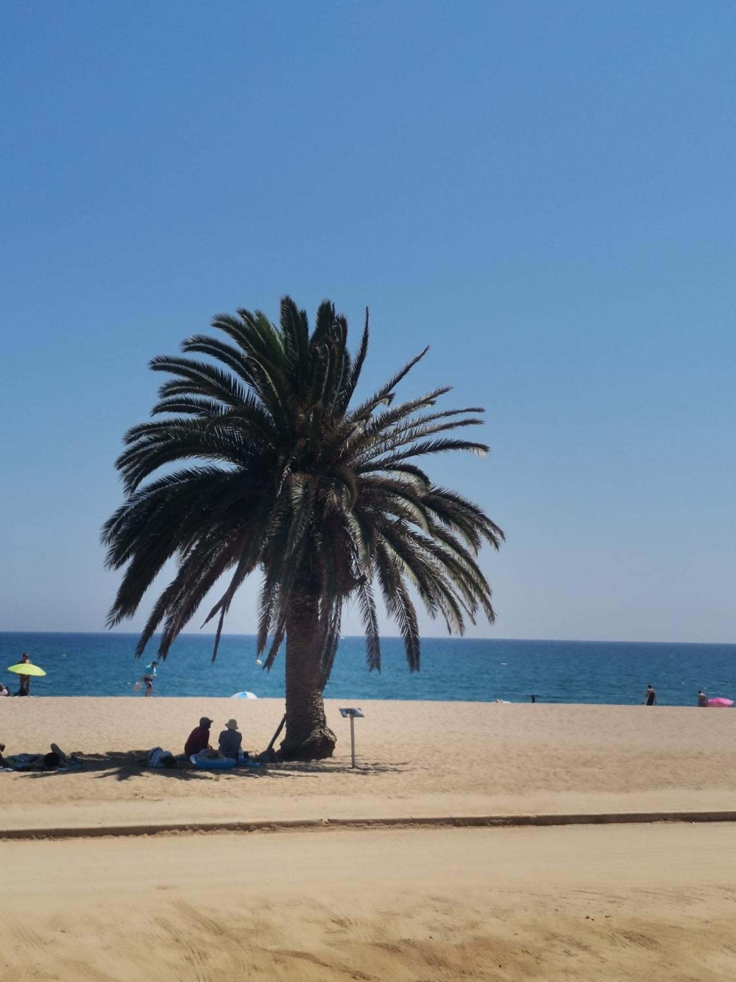 Apartamento Centrico En Calella Eksteriør billede