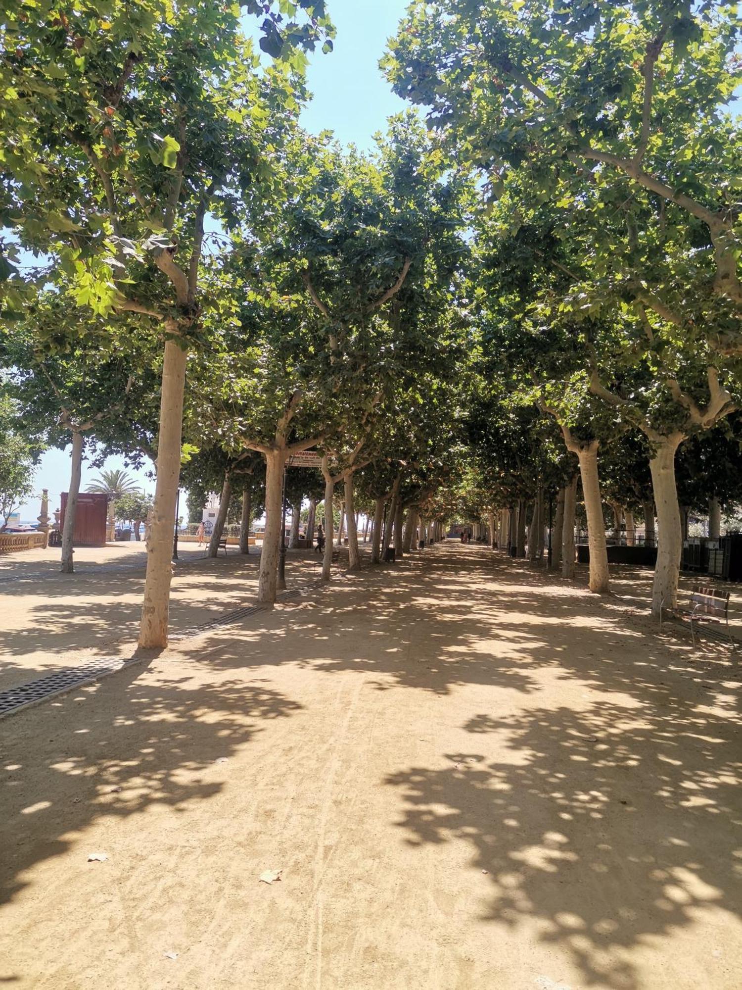 Apartamento Centrico En Calella Eksteriør billede